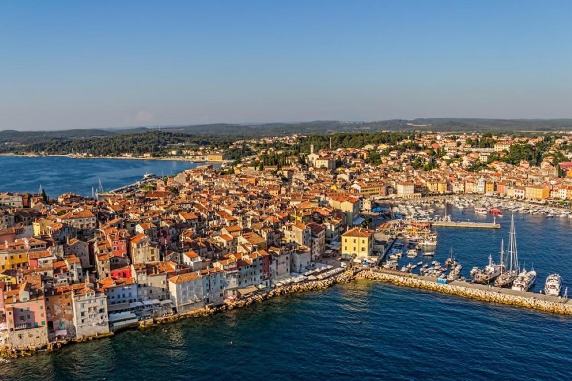 Antheas I Floki Rovinj